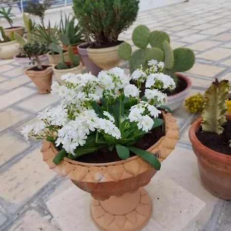 Orazio33 Bed & Breakfast 2*
