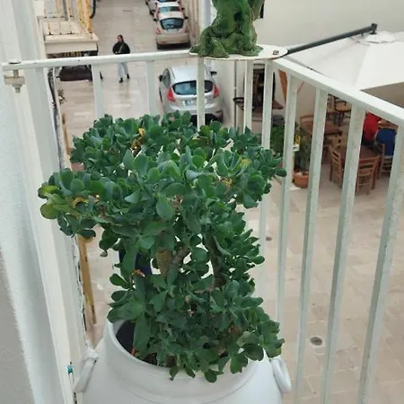 Orazio33 לינה וארוחת בוקר מונופולי