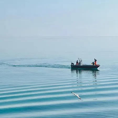 Orazio33 2*